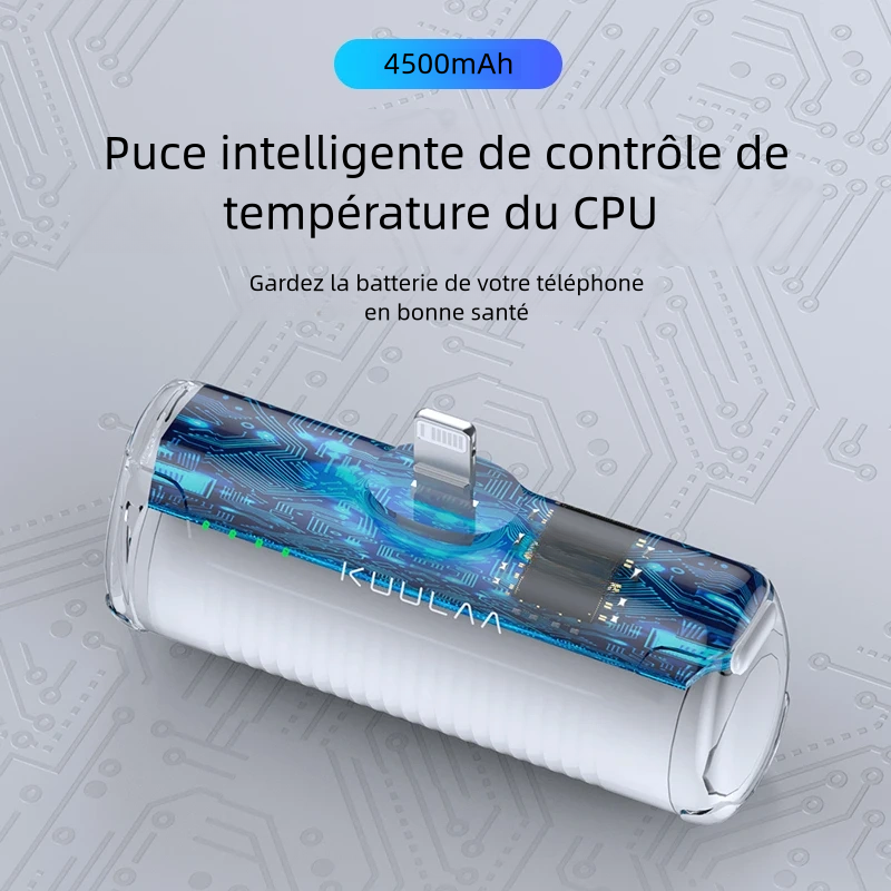 Batterie portable 4500mAh